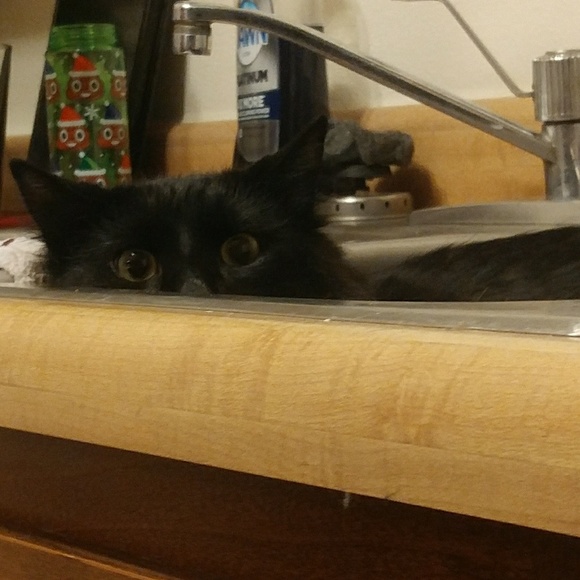 Odin - Picture 5 of 6